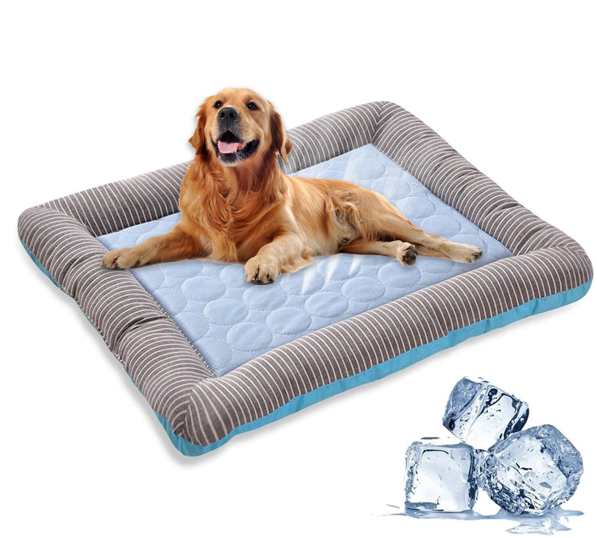 CoolNap™ Cooling Dog Bed