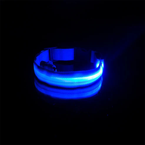 GlowPaw™ Nylon LED Pet Dog Luminous Collar