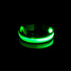 GlowPaw™ Nylon LED Pet Dog Luminous Collar