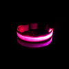 GlowPaw™ Nylon LED Pet Dog Luminous Collar