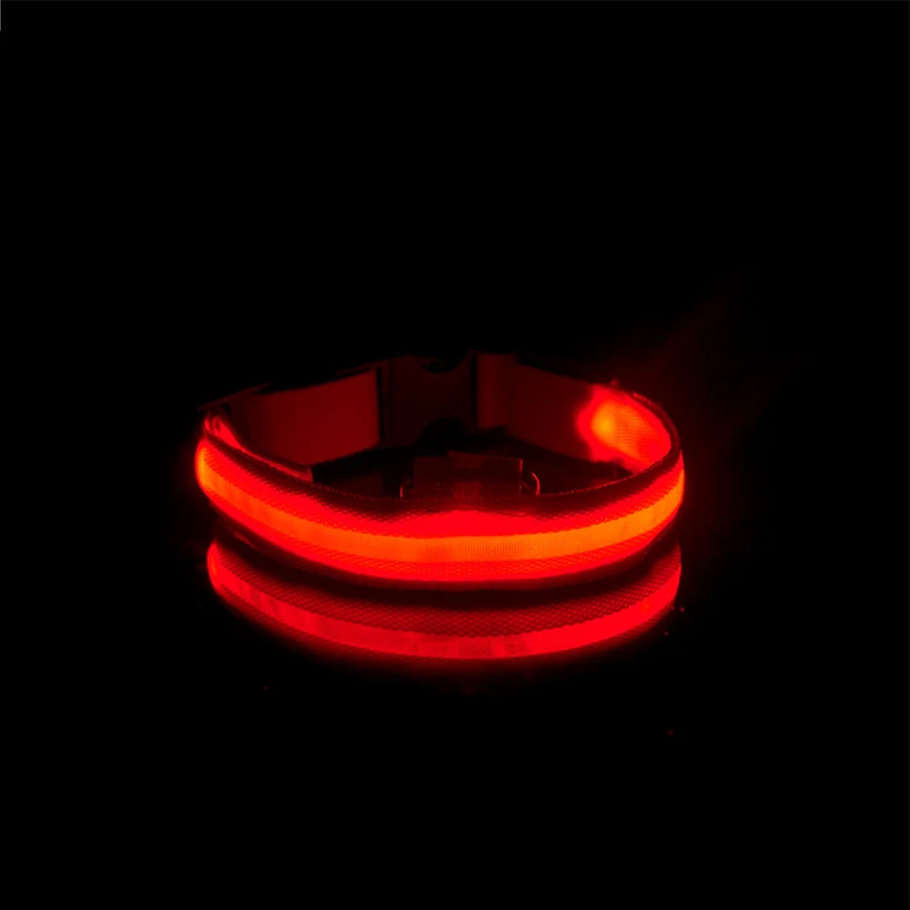 GlowPaw™ Nylon LED Pet Dog Luminous Collar