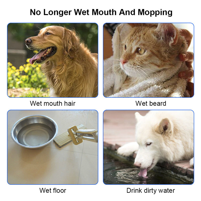 SplashLess™ Anti-Overflow Water Feeder Bowl