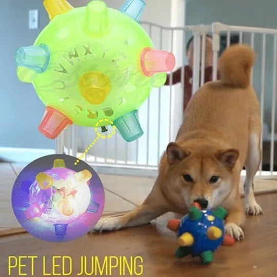 Bouncify™ Jumping Activation Toy