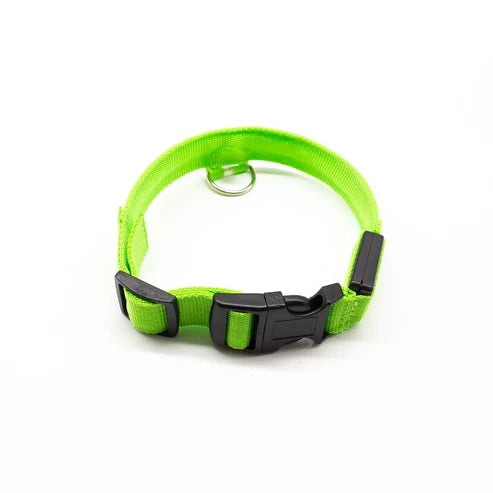 GlowPaw™ Nylon LED Pet Dog Luminous Collar