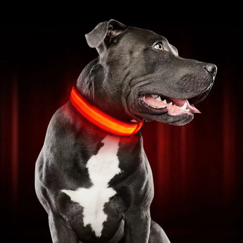 GlowPaw™ Nylon LED Pet Dog Luminous Collar