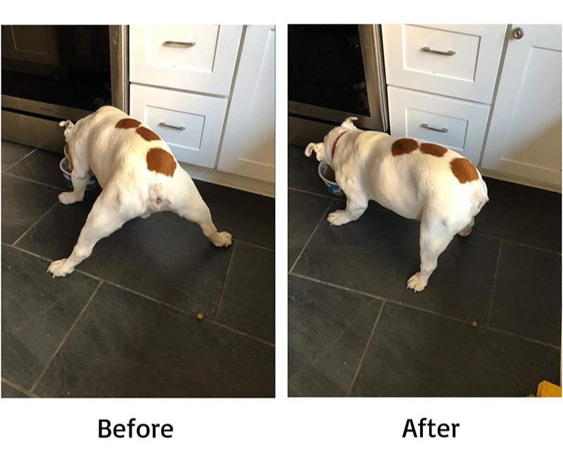 PawGripz™ Dog Anti-Slip Pads
