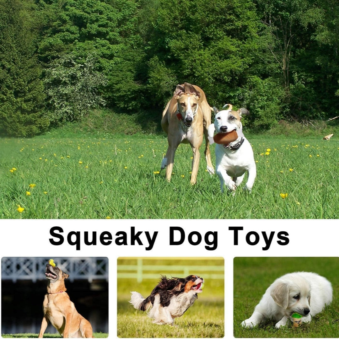 PawSqueak™ 14 Pack Dog Squeaky Toys