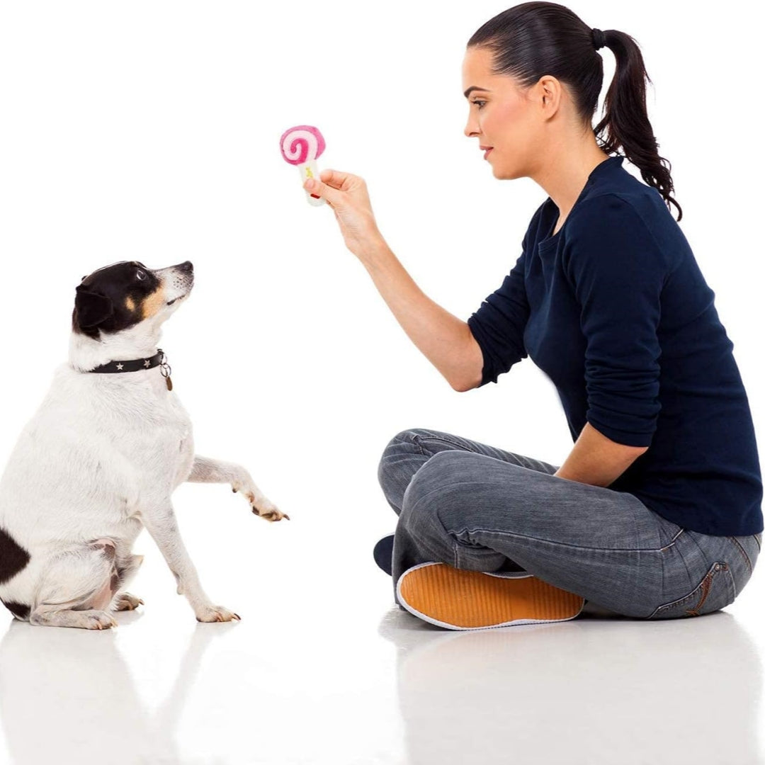 PawSqueak™ 14 Pack Dog Squeaky Toys