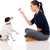 PawSqueak™ 14 Pack Dog Squeaky Toys