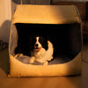 FlannelHaven™ Warm Flannel Detachable Semi-Enclosed Large Dog Tent Bed