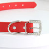 BlingBark™ Glitter Dog Collar